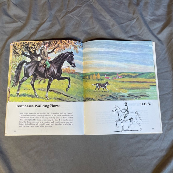 Vintage 1978 Super Book Of Horses by Kathleen Daly Soft Cover - Picture 7 of 9